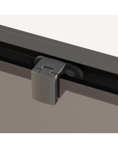 Душевая дверь Ambassador Forsa 100 17022216ABB профиль Черный стекло тонированное