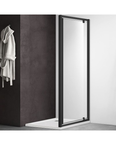 Душевая дверь Aquatek 100 AQ ARI PI 10020BL профиль Черный стекло прозрачное