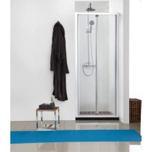 Душевая дверь 100 см Bravat Line BD100.4121A прозрачное