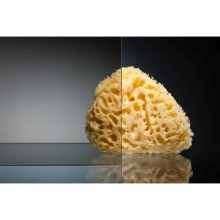 Душевая дверь 85 см Vegas Glass GPS 85 09 05 бронза