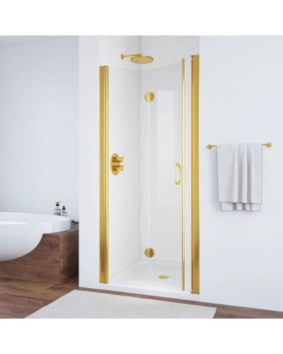Душевая дверь 95 см Vegas Glass GPS 95 09 05 бронза