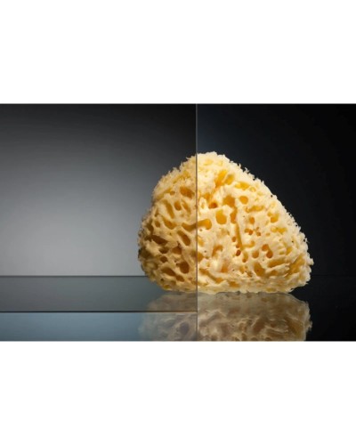 Душевая дверь 100 см Vegas Glass GPS 100 09 05 бронза