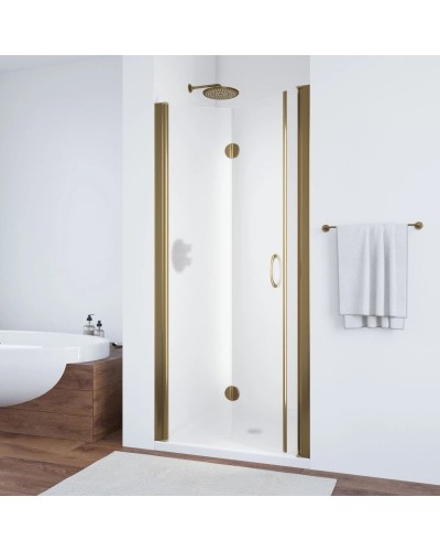 Душевая дверь 100 см Vegas Glass GPS 100 05 10 сатин