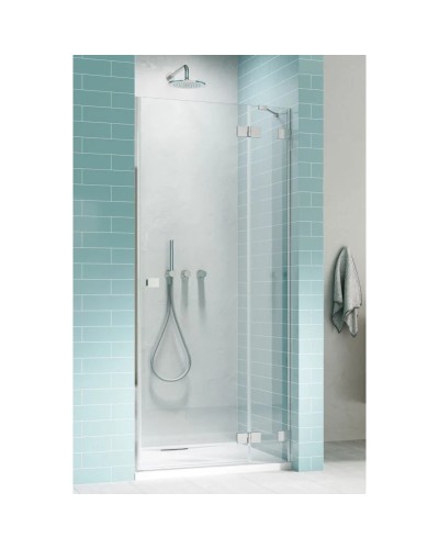 Душевая дверь Radaway Essenza Pro DWJ 110 R прозрачное