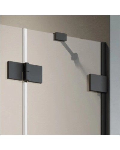 Душевая дверь Radaway Essenza Pro Black DWJ 110 R прозрачное