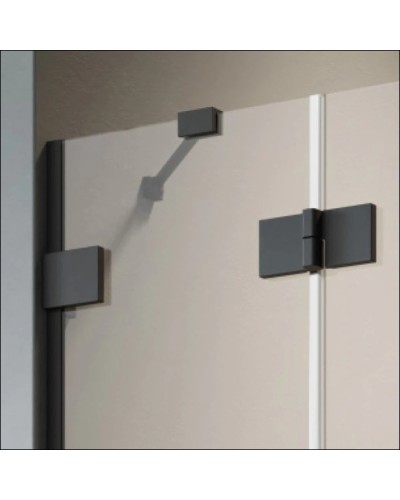 Душевая дверь Radaway Essenza Pro Black DWJ 120 L прозрачное