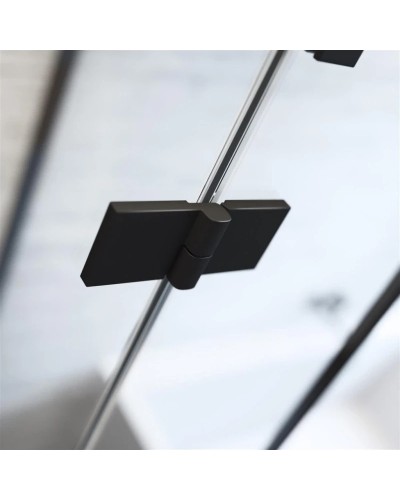 Душевая дверь Radaway Essenza Pro Black DWJ 120 R прозрачное