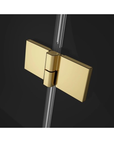 Душевая дверь Radaway Essenza Pro Gold DWJ 100 R прозрачное
