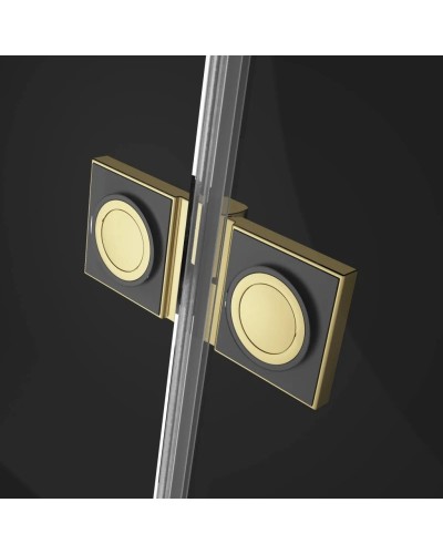 Душевая дверь Radaway Essenza Pro Gold DWJ 110 L прозрачное