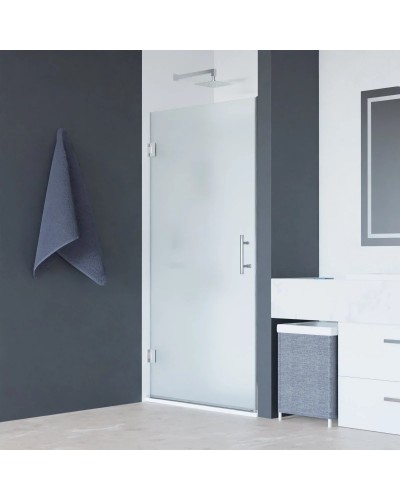 Душевая дверь 60 см RGW HO-011 Hotel 350601106-21 матовое