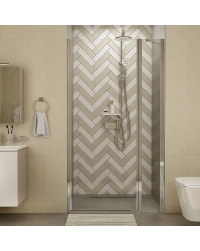 Душевая дверь 100 см IDDIS Ray RAY6CP0i69 прозрачное