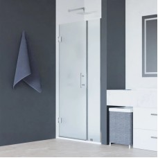 Душевая дверь 90 см RGW HO-012 Hotel 350601209-21 матовое