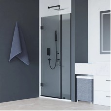 Душевая дверь 100 см RGW HO-012-B Hotel 350601200-34 серое