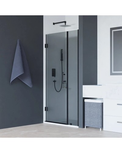 Душевая дверь 100 см RGW HO-012-B Hotel 350601200-34 серое