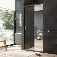 Душевая дверь 100 см Am.Pm Gem W90G-100-1-195BMir зеркальное
