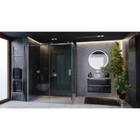 Душевая дверь 160 см Roca Area MP05L6012M прозрачное