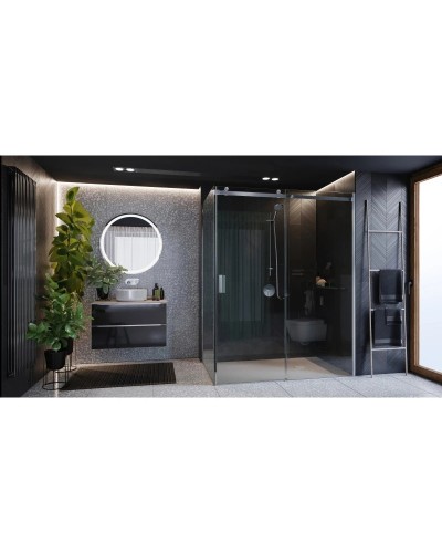 Душевая дверь 160 см Roca Area MP05R6012M прозрачное