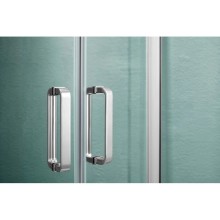 Душевая дверь 100 см Aquatek AQ ARI RA 10020CH прозрачное