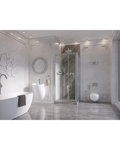 Душевая дверь 100 см Ambassador Forsa 17021101NX прозрачное