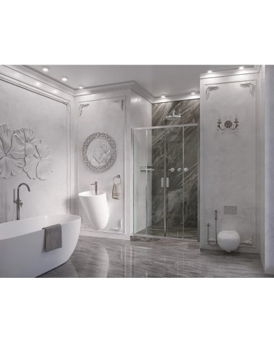 Душевая дверь 120 см Ambassador Forsa 17021107AX прозрачное