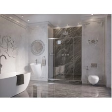 Душевая дверь 160 см Ambassador Forsa 17021111AX прозрачное