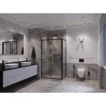 Душевая дверь 100 см Ambassador Forsa 17021216AB прозрачное