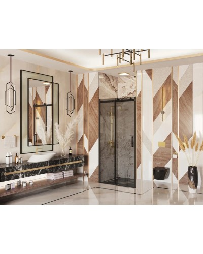 Душевая дверь 120 см Ambassador Benefit 19022201HBB тонированное