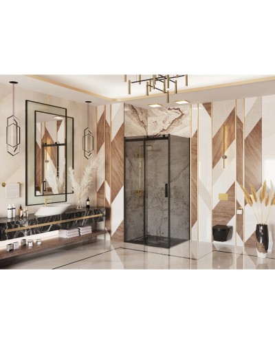 Душевая дверь 120 см Ambassador Benefit 19022201HBB тонированное