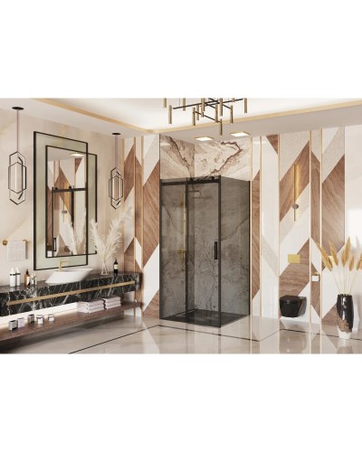 Душевая дверь 130 см Ambassador Benefit 19022202HBB тонированное