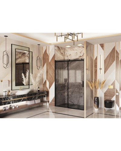 Душевая дверь 160 см Ambassador Benefit 19022205HBB тонированное