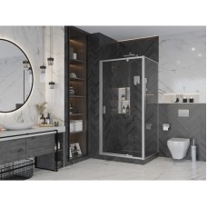 Душевая дверь 100 см Ambassador Elysium 111021104KX прозрачное