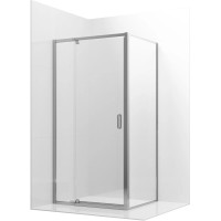 Душевая дверь 100 см Ambassador Elysium 111021104KX прозрачное