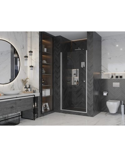 Душевая дверь 80 см Ambassador Elysium 111011109CX прозрачное