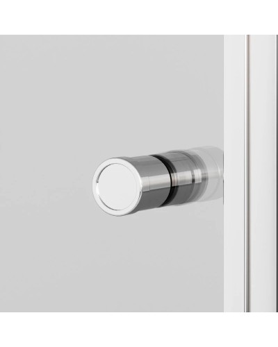 Душевая дверь 90 см Ambassador Elysium 111011110CX прозрачное