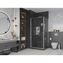 Душевая дверь 100 см Ambassador Elysium 111011111CX прозрачное