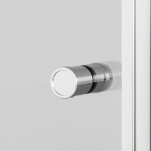 Душевая дверь 100 см Ambassador Elysium 111011111CX прозрачное