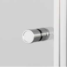 Душевая дверь 100 см Ambassador Elysium 111011111CX прозрачное