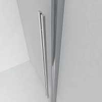 Душевая дверь 120 см Ambassador Intense 110021101IX прозрачное