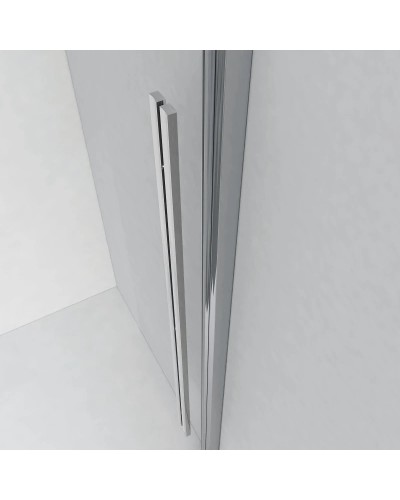 Душевая дверь 120 см Ambassador Intense 110021101IX прозрачное