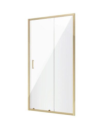 Душевая дверь 100 см Niagara NG-42-10AG прозрачное