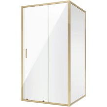 Душевая дверь 100 см Niagara NG-42-10AG прозрачное