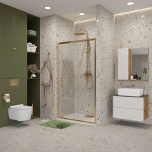 Душевая дверь 120 см Niagara NG-42-12AG прозрачное