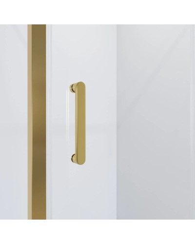 Душевая дверь 100 см Niagara NG-43-10AG прозрачное