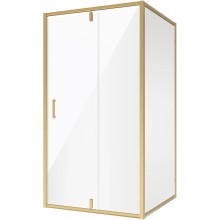 Душевая дверь 100 см Niagara NG-43-10AG прозрачное