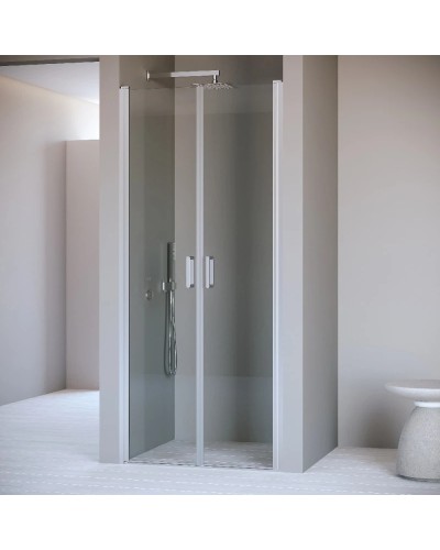 Душевая дверь 60 см RGW PA-104 Passage 060810406-11 прозрачное