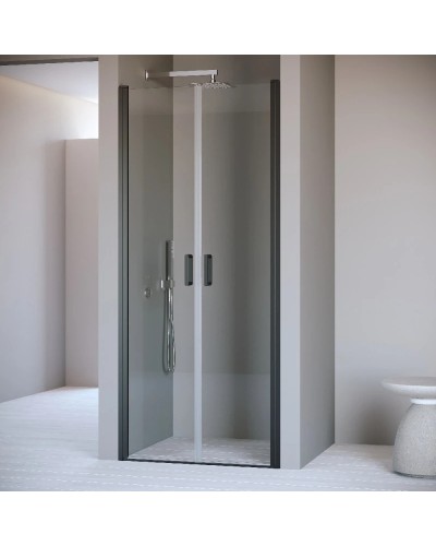 Душевая дверь 90 см RGW PA-104B Passage 060810409-14 прозрачное