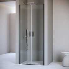 Душевая дверь 100 см RGW PA-104B Passage 060810410-14 прозрачное