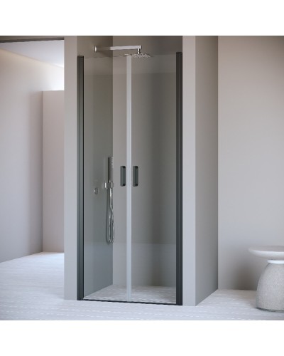 Душевая дверь 120 см RGW PA-104B Passage 060810412-14 прозрачное