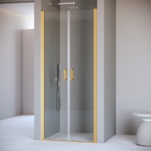 Душевая дверь 70 см RGW PA-104Gb Passage 060810407-16 прозрачное