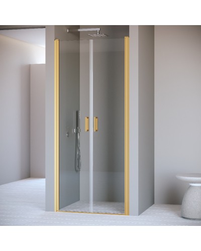 Душевая дверь 120 см RGW PA-104Gb Passage 060810412-16 прозрачное